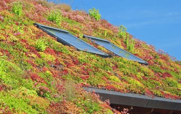 Allington Bar living roof systems