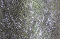 Allington Bar fibreglass roof work